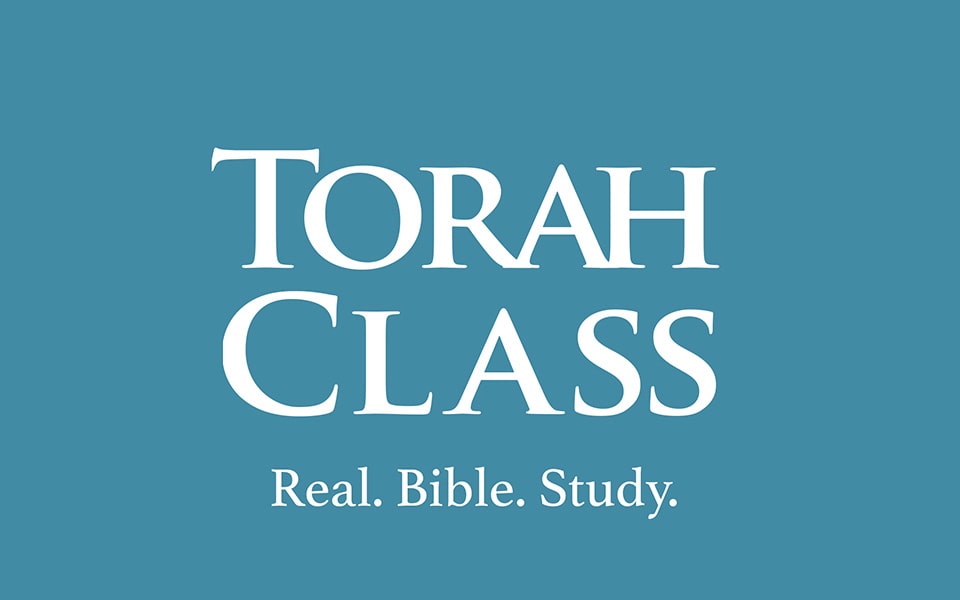 Torah Class