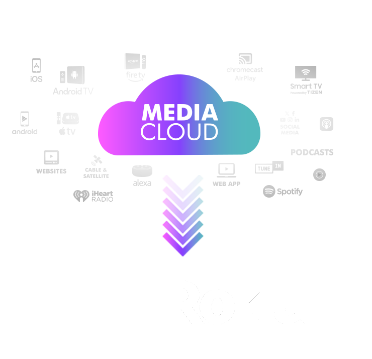 Roku Device